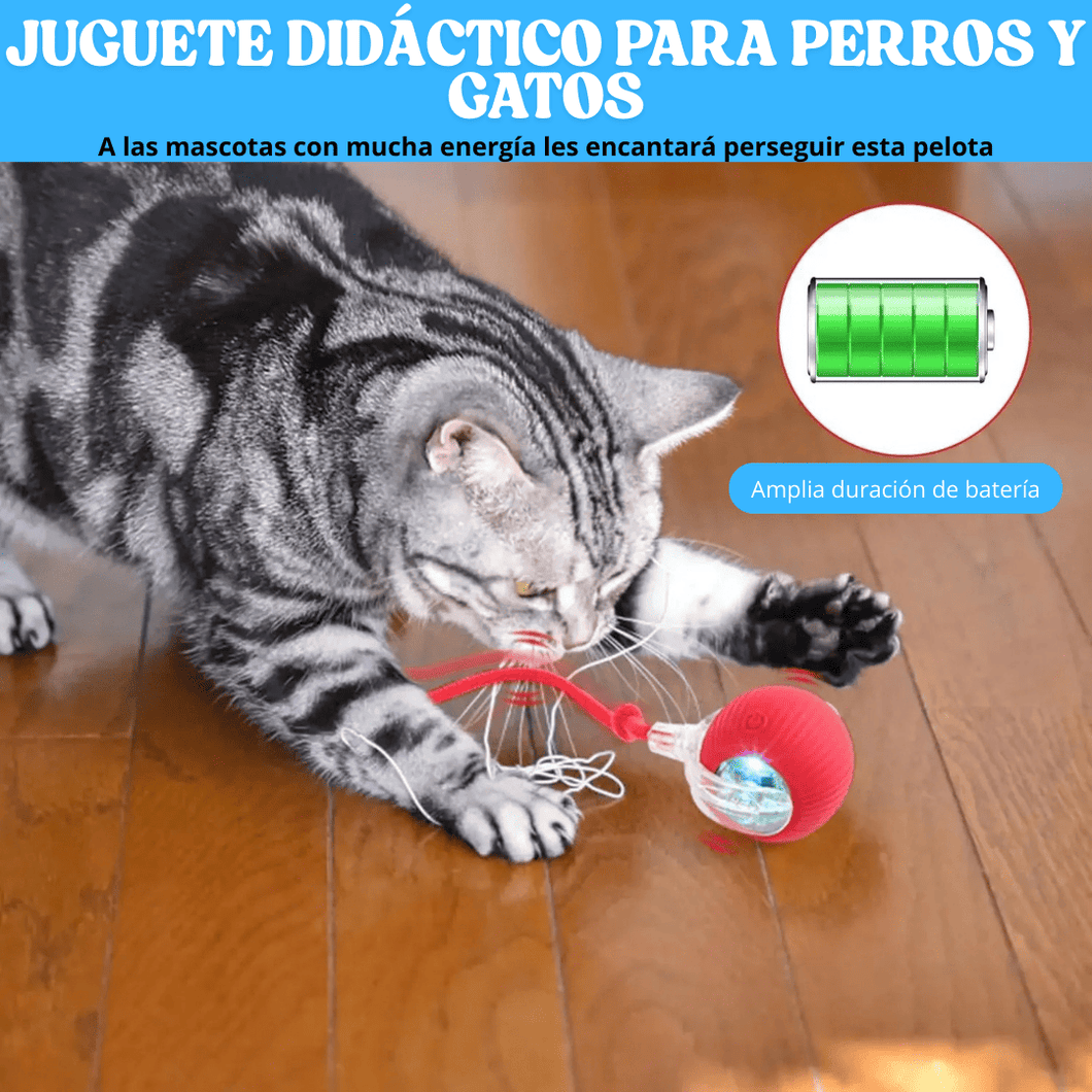 PELOTA INTERACTIVA PARA MASCOTAS
