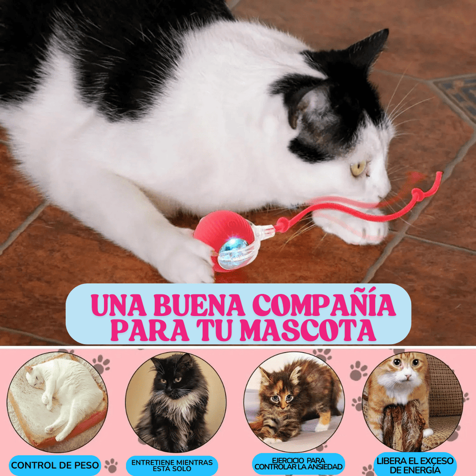 PELOTA INTERACTIVA PARA MASCOTAS