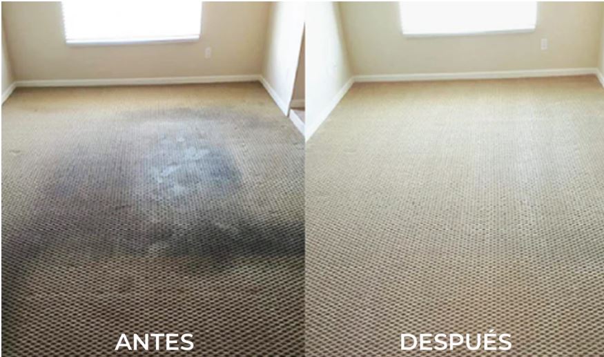 Eliminador de Olores - Carpet Cloth Re-Fresher ELIMINA OLORES DE MASCOTAS